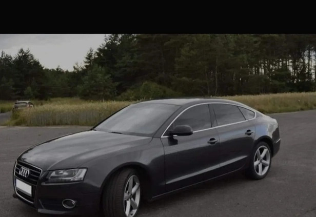 Audi A5 cena 37000 przebieg: 240834, rok produkcji 2009 z Kielce małe 29